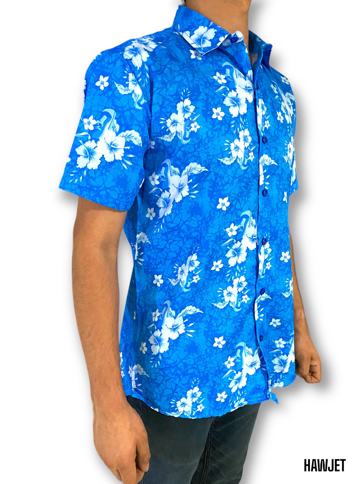 Camisa Hawaiana de Caballero