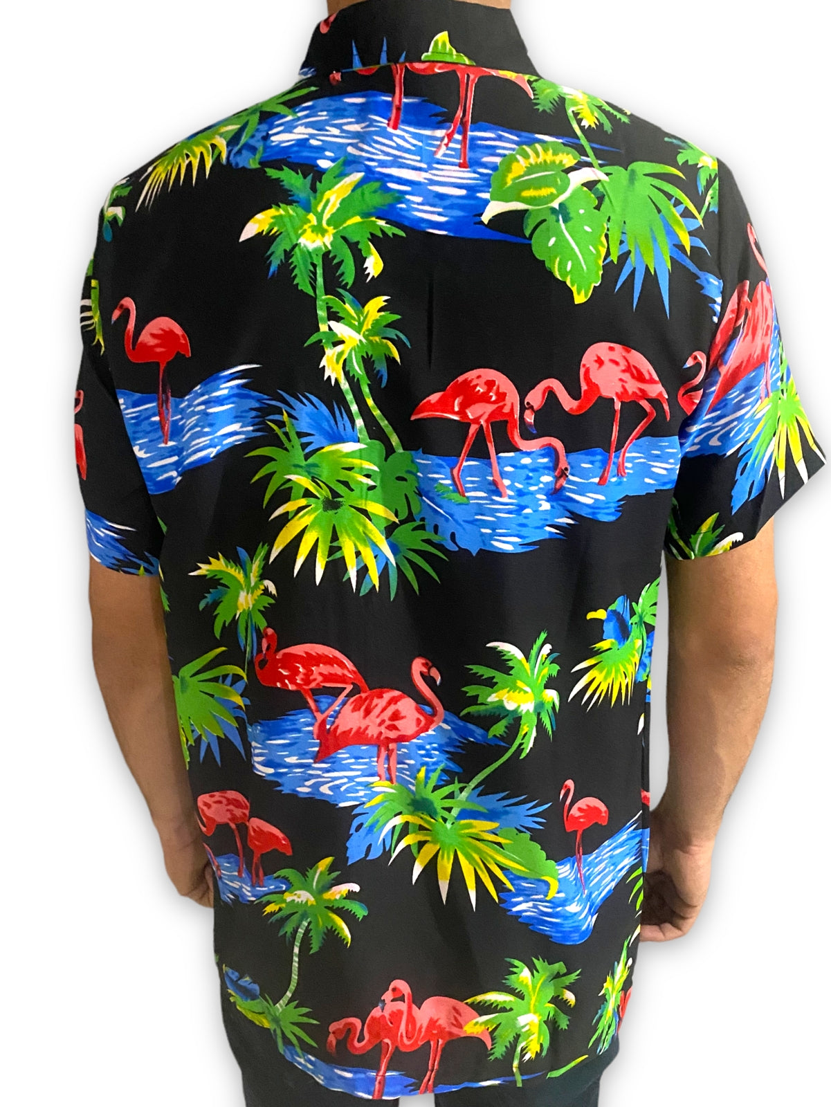 Camisa Hawaiana de Caballero